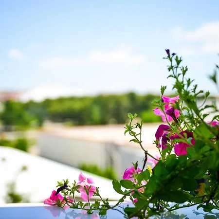Apartman Zararia